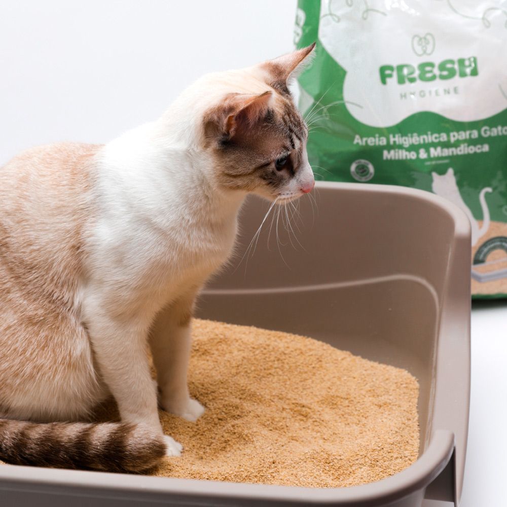 Areia Higiênica Fresh Milho e Mandioca para Gatos 3 kg