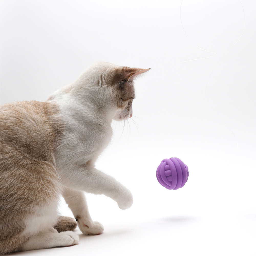 Brinquedo Caça Petisco Interativo Cansei de Ser Gato