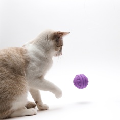 Brinquedo Caça Petisco Interativo Cansei de Ser Gato
