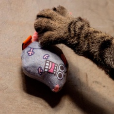 Brinquedo Cansei de Ser Gato Presas Raoni para Gatos