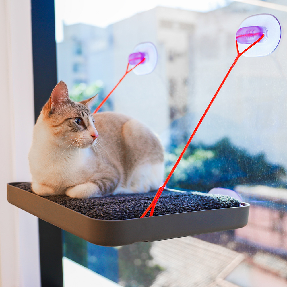 Cama Suspensa Sky Bed Cansei de Ser Gato x Zee.Dog para Gatos