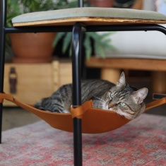 Rede Suspensa para Cadeira Cansei de Ser Gato de Mostarda para Gatos