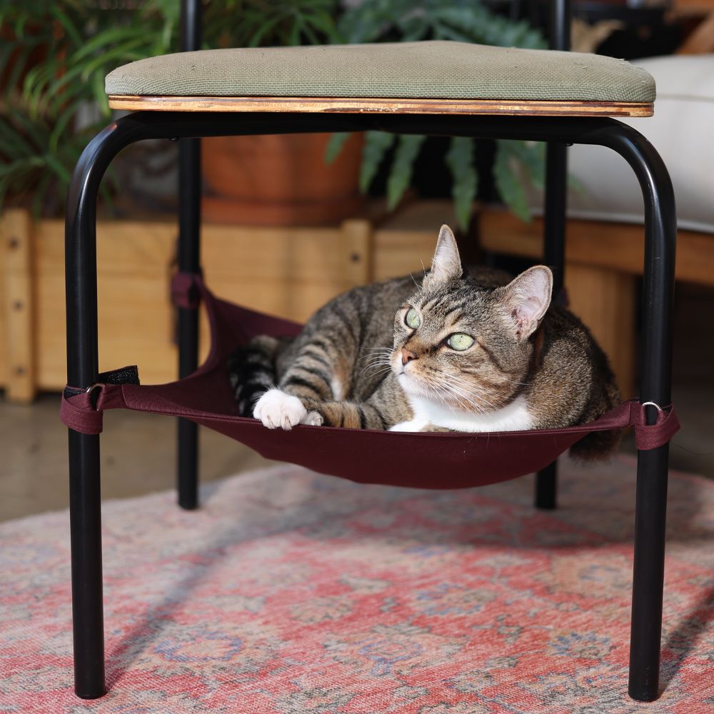 Rede Suspensa para Cadeira Cansei de Ser Gato de Vinho para Gatos