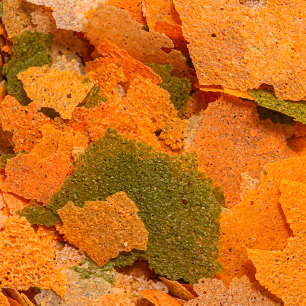 Alimento Ocean Tech Daily Flakes para Peixes