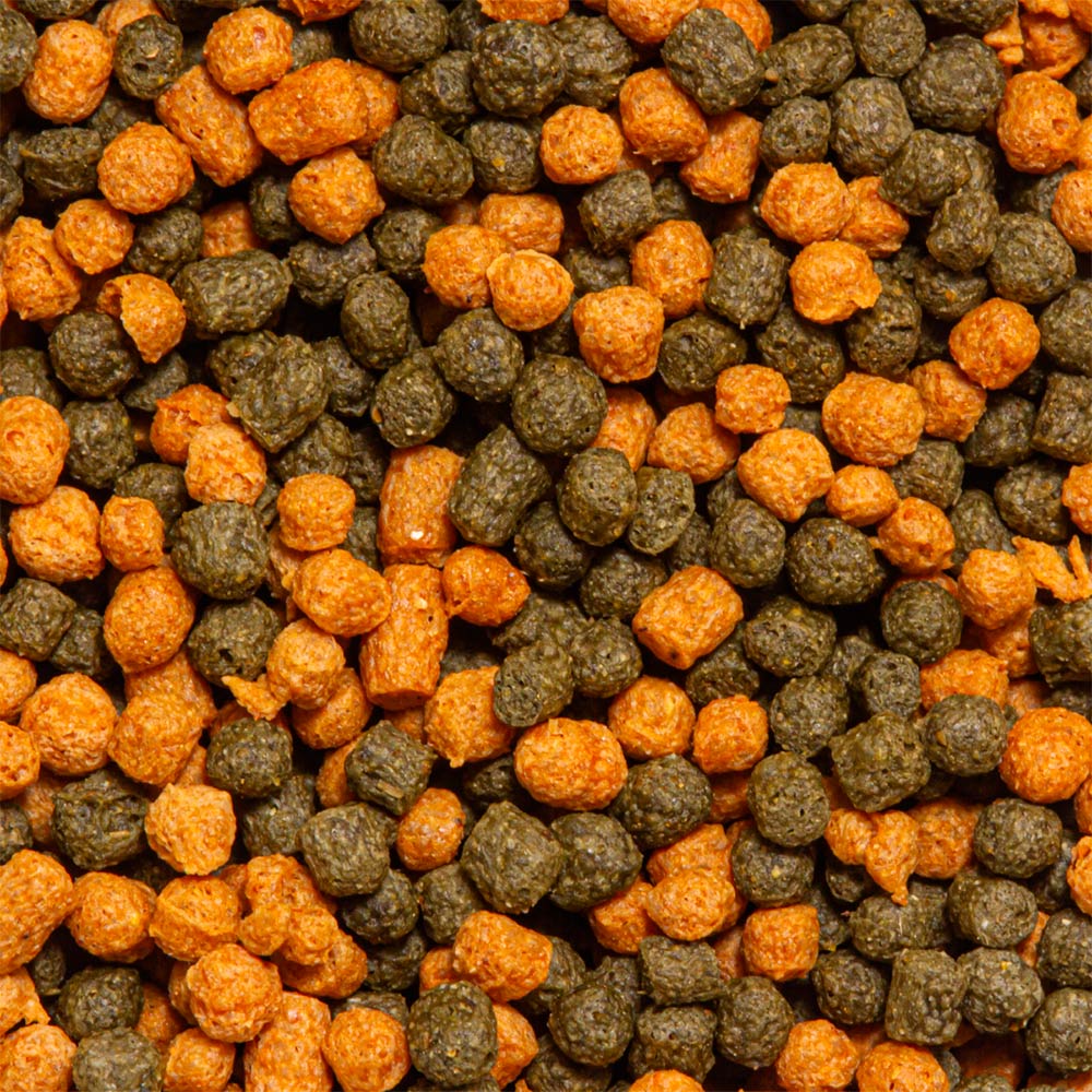 Alimento Ocean Tech Kinguio Grânulo para Peixes