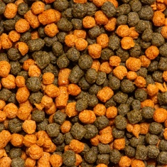 Alimento Ocean Tech Kinguio Grânulo para Peixes