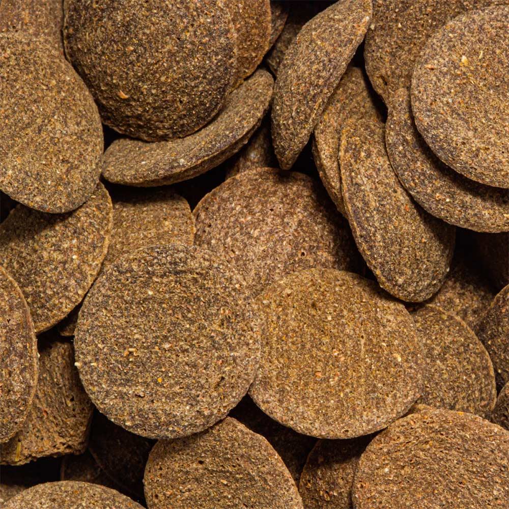 Alimento Ocean Tech Pleco Wafers para Peixes 44 g