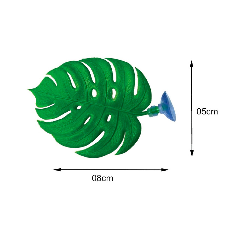 Decoração Lester Cama do Beta para Aquários