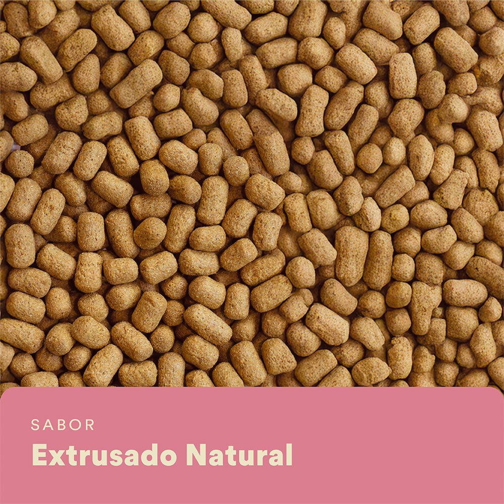 Alimento Extrusado Nutrifresh Natural para Twister, Camundongo e Topolino 300 g