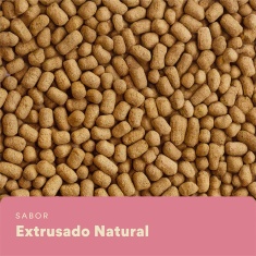 Alimento Extrusado Nutrifresh Natural para Twister, Camundongo e Topolino 300 g