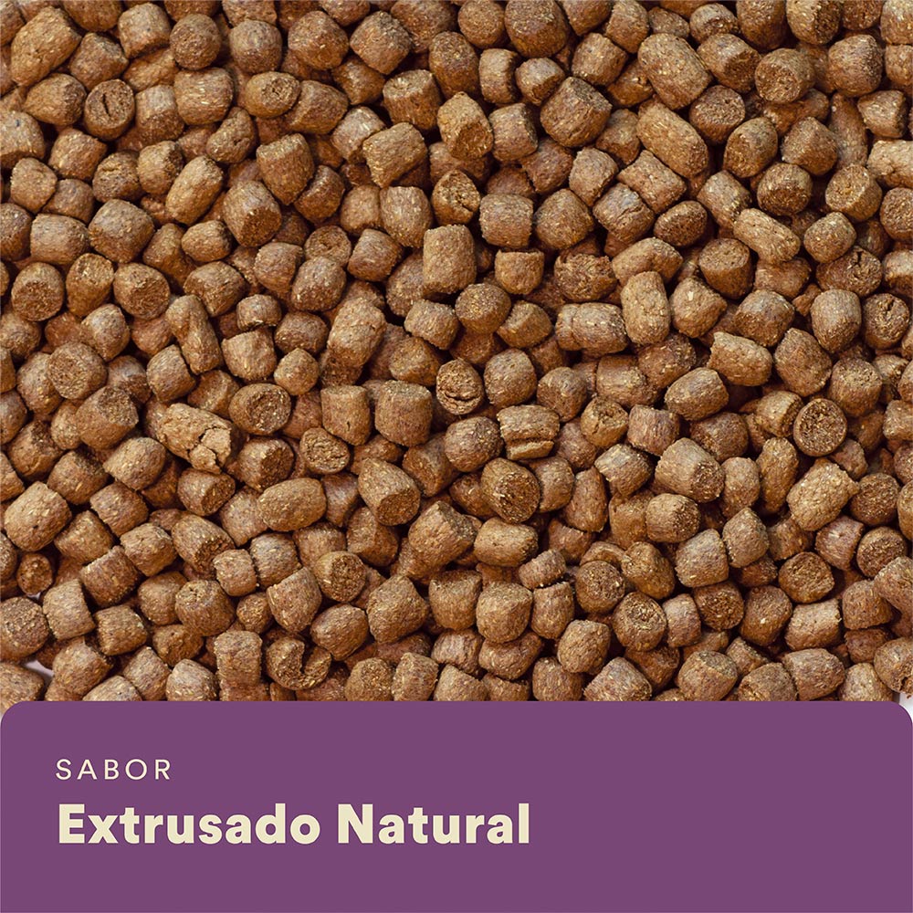 Alimento Extrusado Nutrifresh Natural para Hamster e Gerbil 300 g