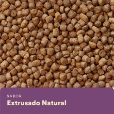Alimento Extrusado Nutrifresh Natural para Hamster e Gerbil 300 g