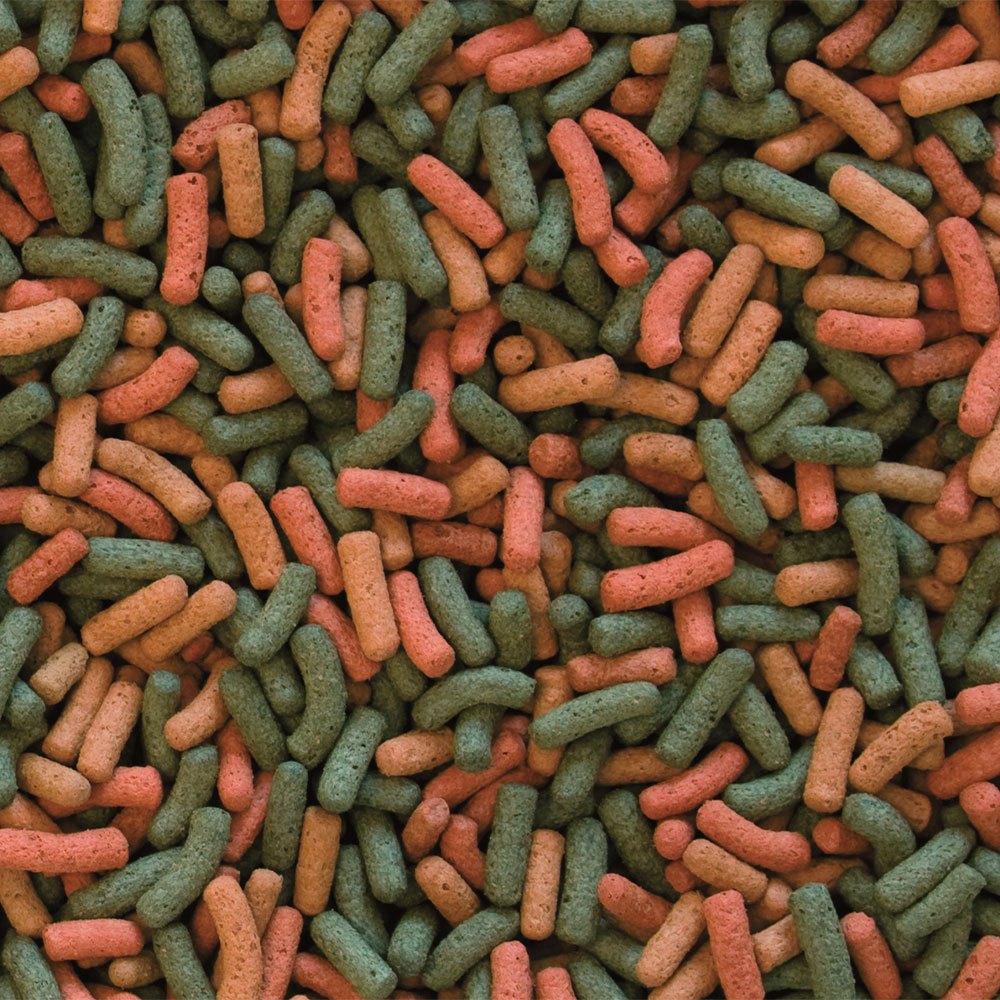 Ração Tropical Biorept W para Tartarugas Aquáticas e Lamaçal