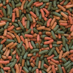 Ração Tropical Biorept W para Tartarugas Aquáticas e Lamaçal