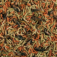 Ração Tropical Carnivore Soft para Répteis