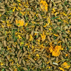 Ração Tropical Herbivore Soft para Répteis