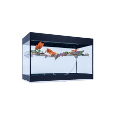 Terrário Aquaterrário com Plataforma para Tartarugas