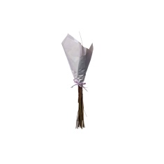 Buque Ju Flores Primavera P