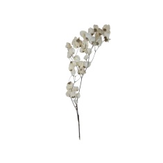 Maço Ju Flores Bouganville
