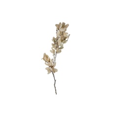 Maço Ju Flores Libelula