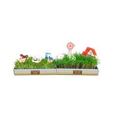 Kit Isla Cultivo de Microverdes Fazendinha Cenoura e Alface
