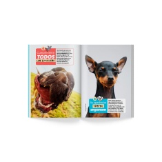 Livro Duplo O Que Os Cachorros Nos Ensinam/O Que Os Gatos Nos Ensinam