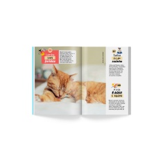 Livro Duplo O Que Os Cachorros Nos Ensinam/O Que Os Gatos Nos Ensinam