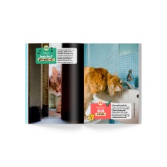 Livro Duplo O Que Os Cachorros Nos Ensinam/O Que Os Gatos Nos Ensinam