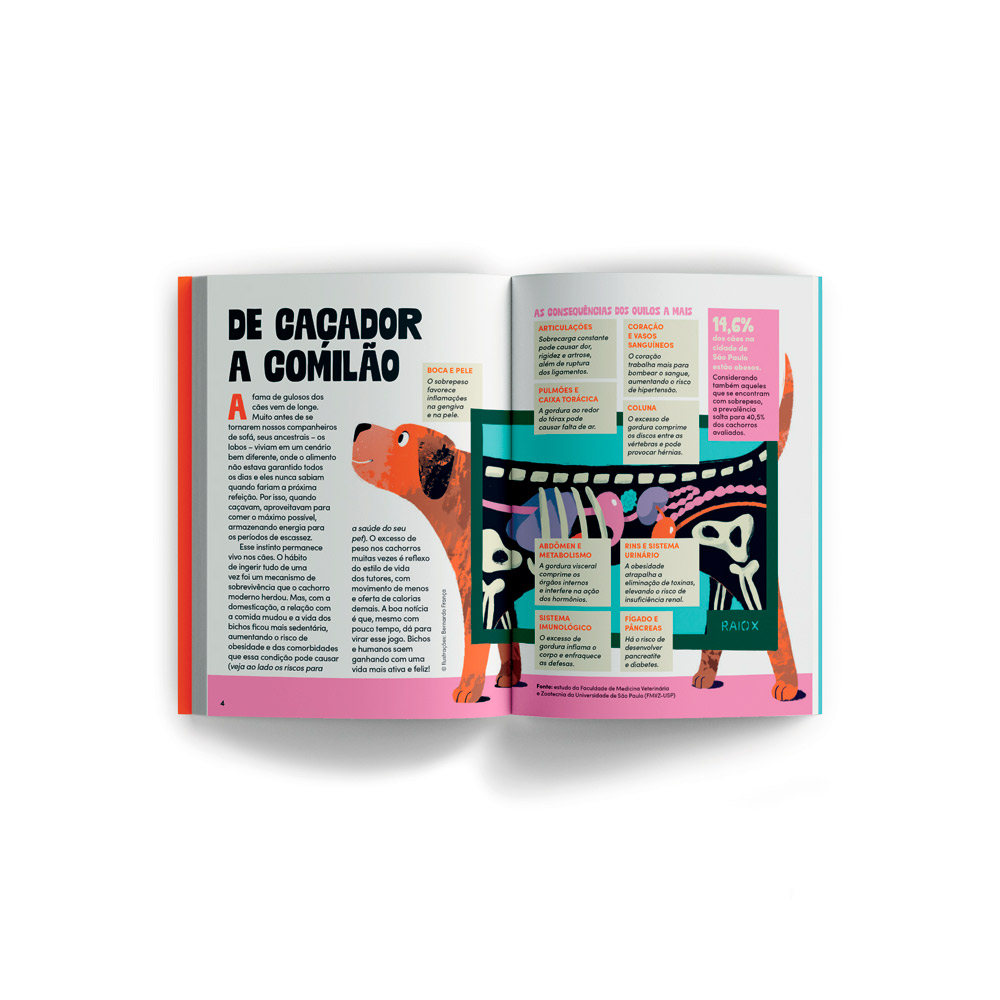 Livro Duplo Comer, Brincar e Latir/Comer, Brincar e Miar