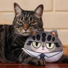 Brinquedo Cansei de Ser Gato Chico de Pelúcia