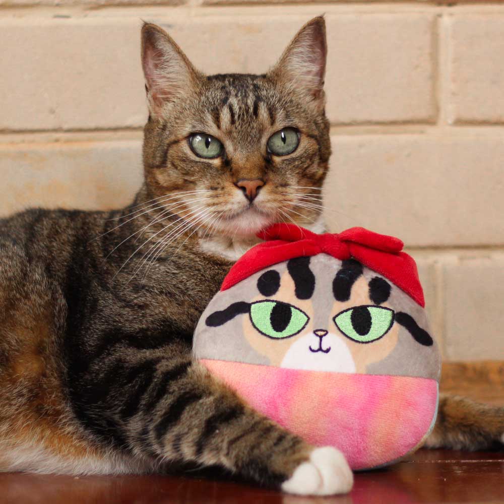 Brinquedo Cansei de Ser Gato Terezinha de Pelúcia