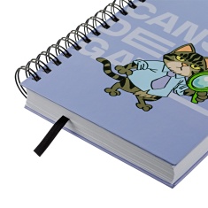 Agenda 2026 Cansei de Ser Gato