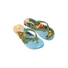 Chinelo Ipanema Aves Colorido